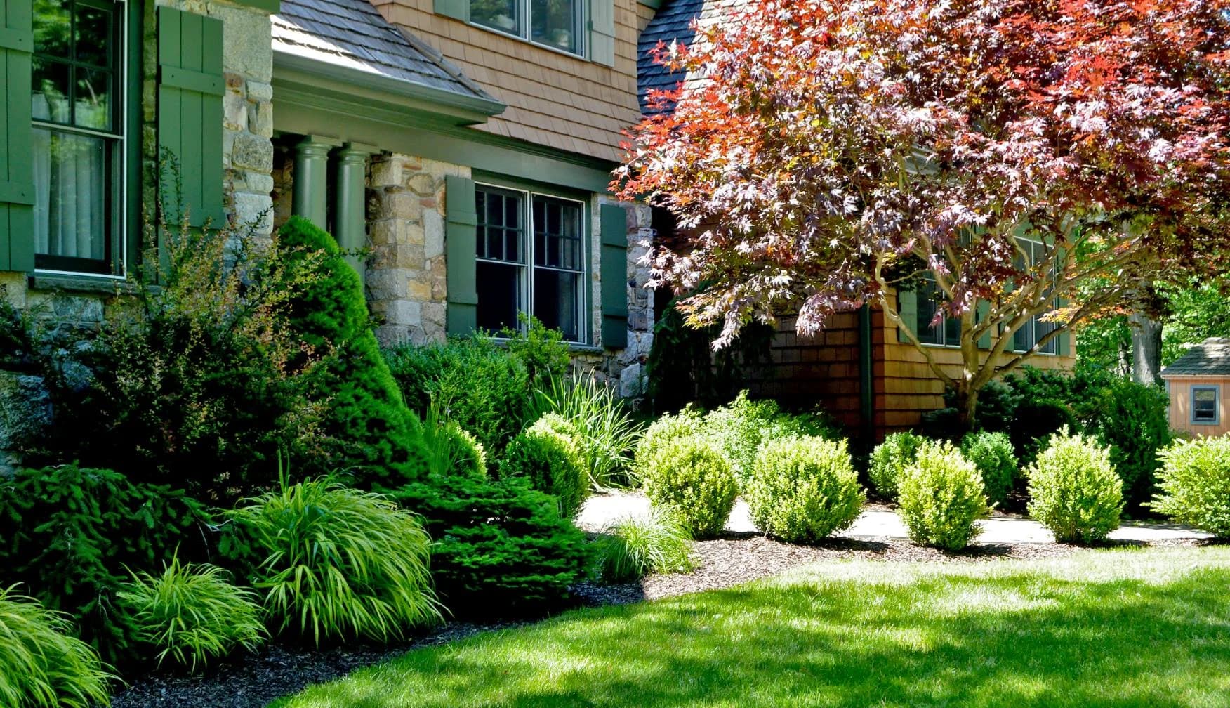 Tree & Shrub Planting Services in Massillon, OH
