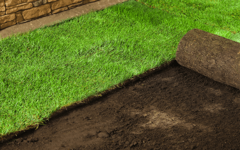 Sod Installation Services in Massillon, OH