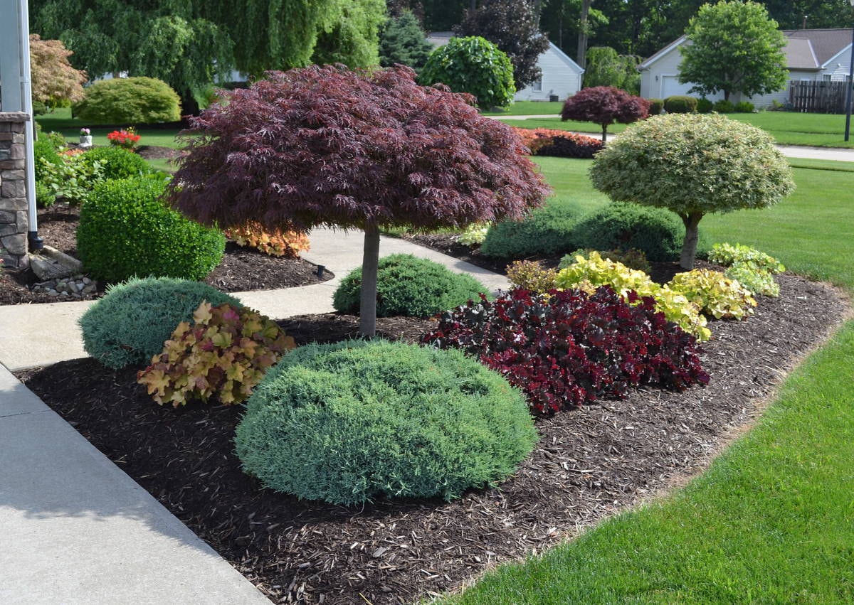Landscape Design in North Canton project 7