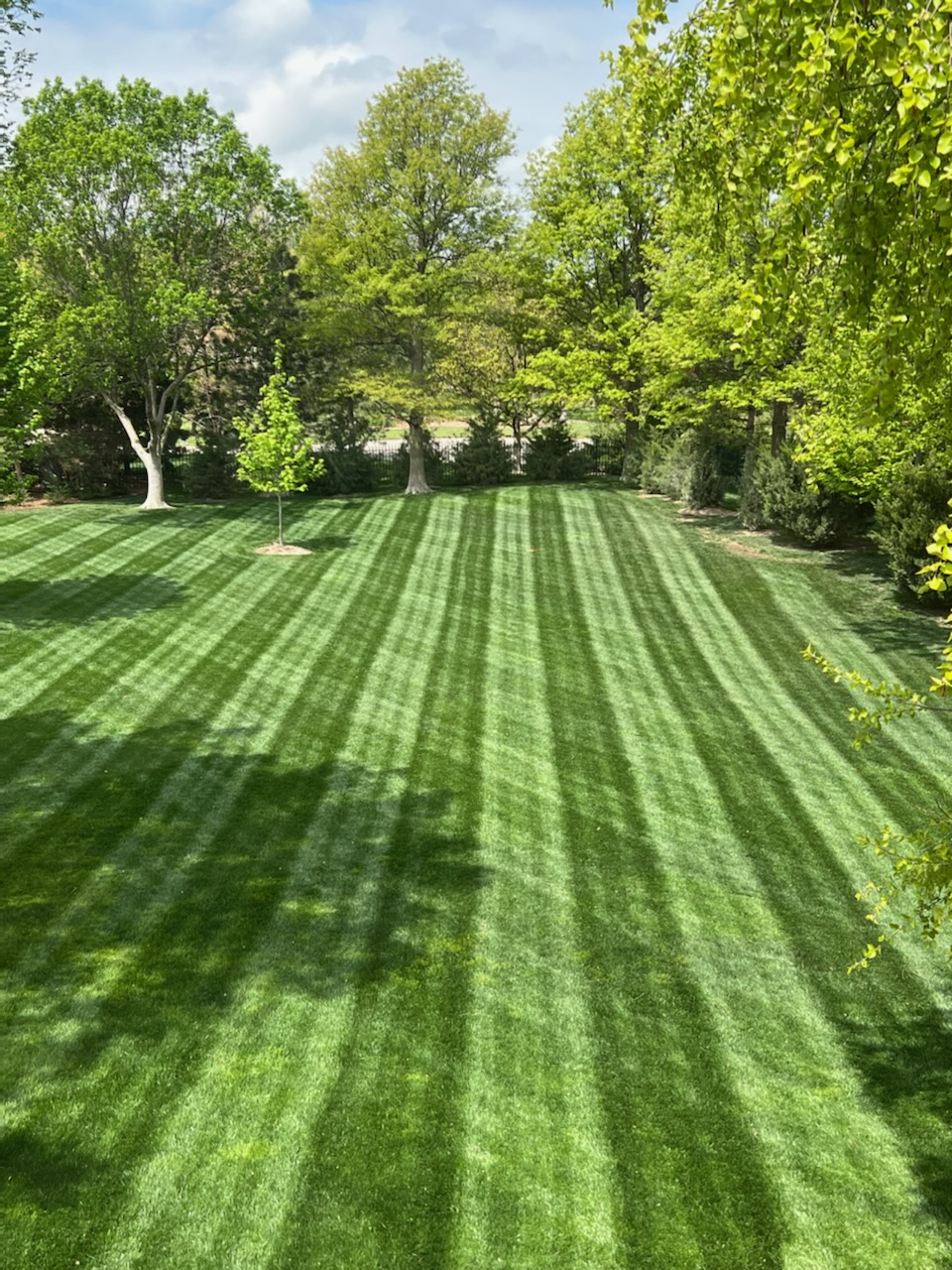 Lawn Mowing in Massillon