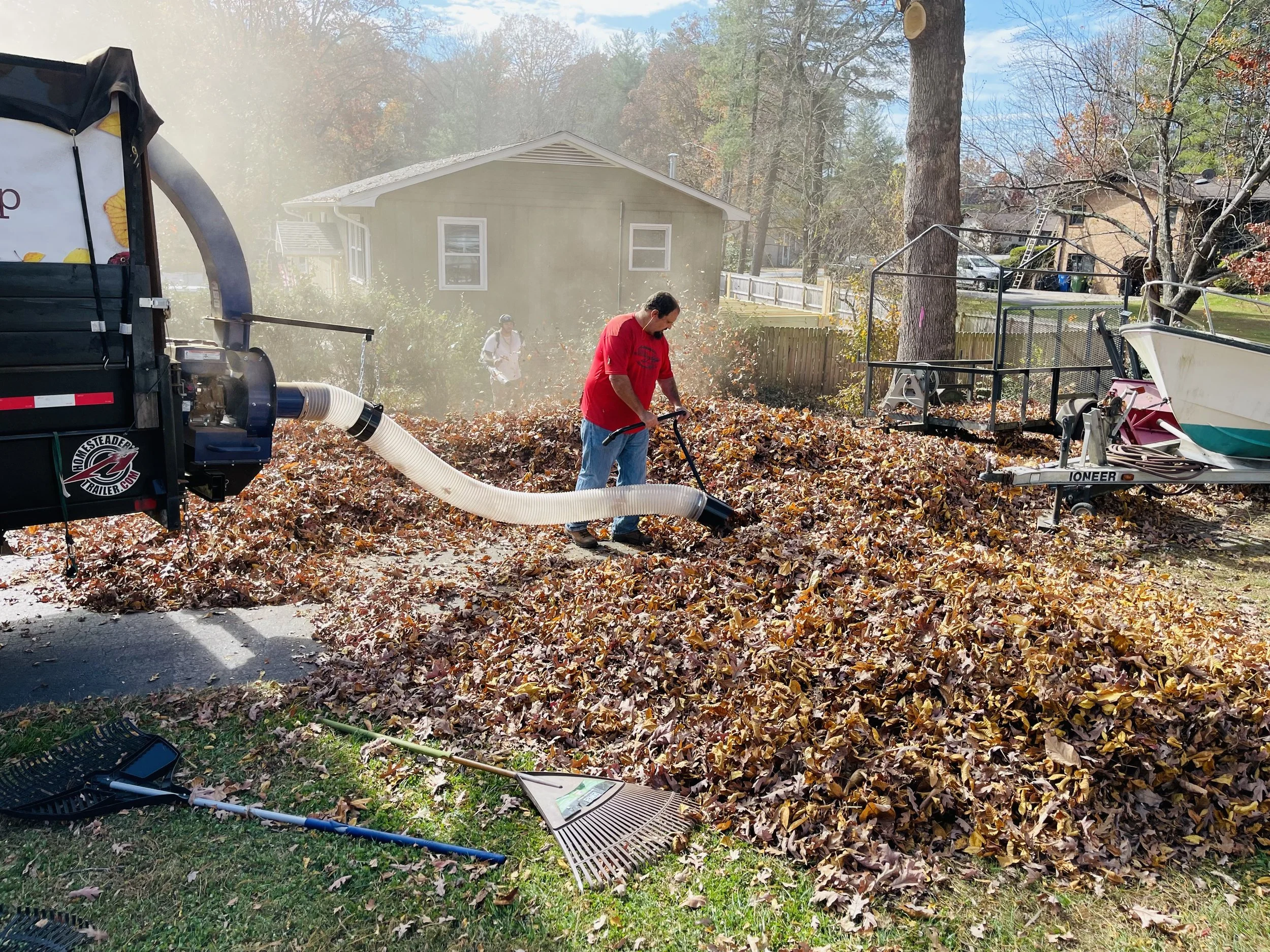Leaf Removal in Massillon