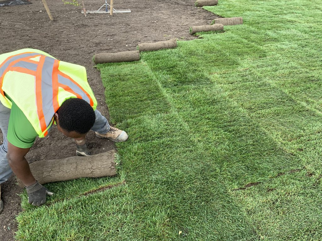 Sod Installation in Massillon